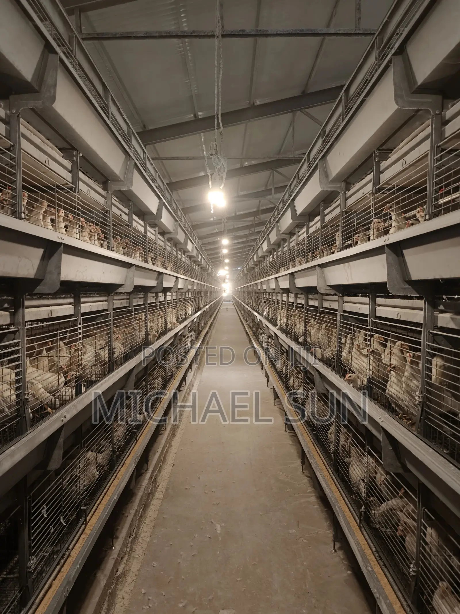 Automatic Poultry Farming Equipments Battery Cages