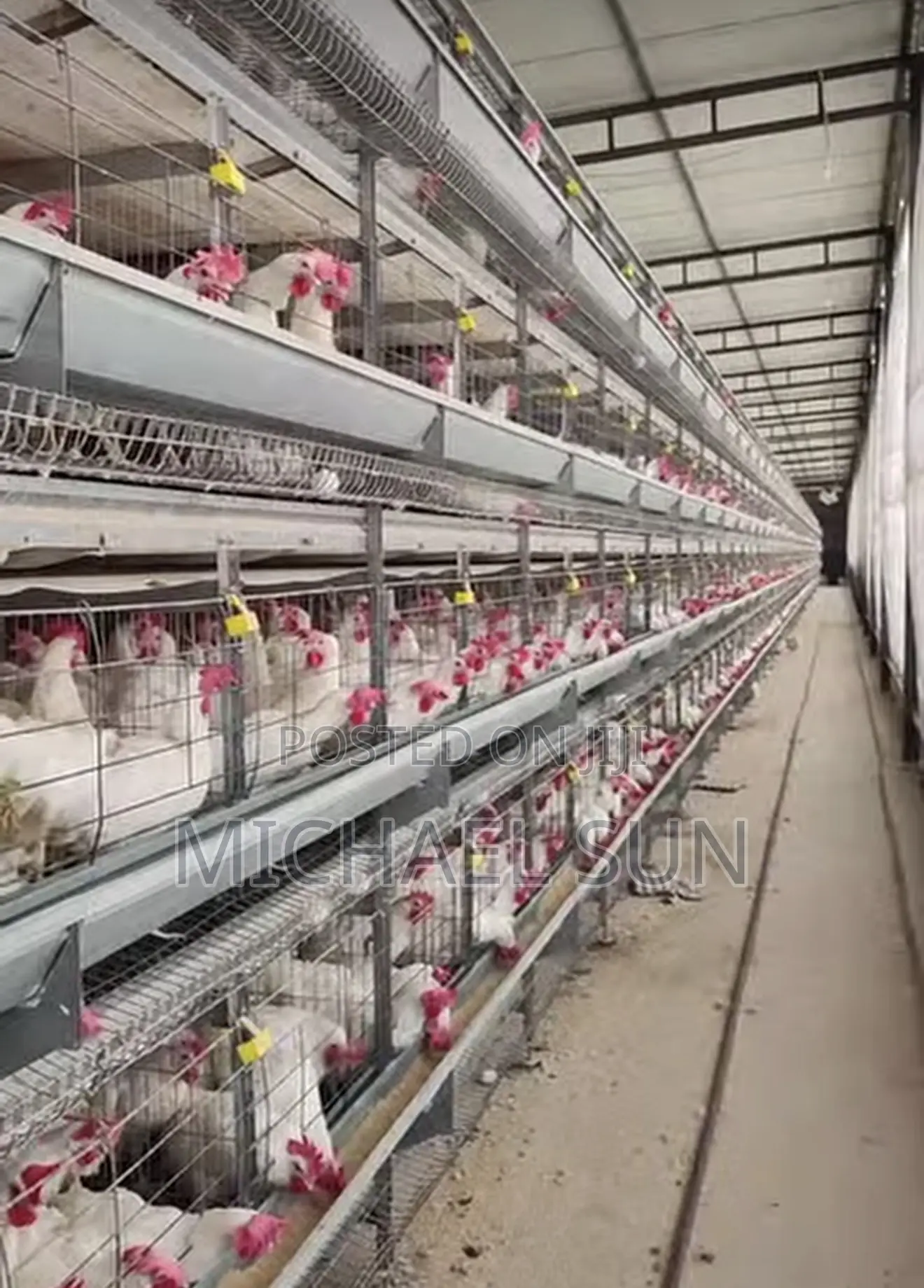 Poultry Farming Equipments Chicken Cages Battery Cage Poultry Cage