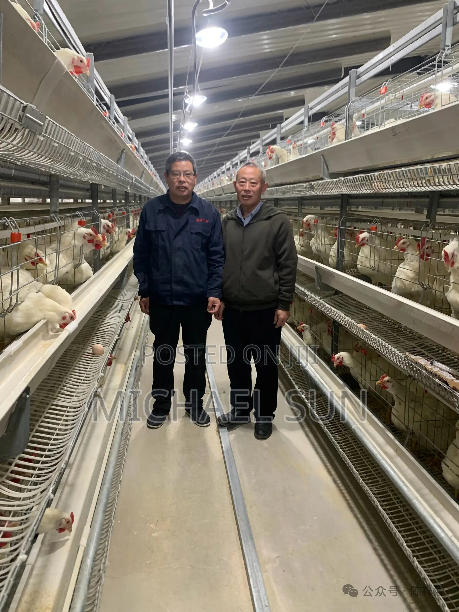 Poultry Farming Equipments Chicken Cages Battery Cage Poultry Cage