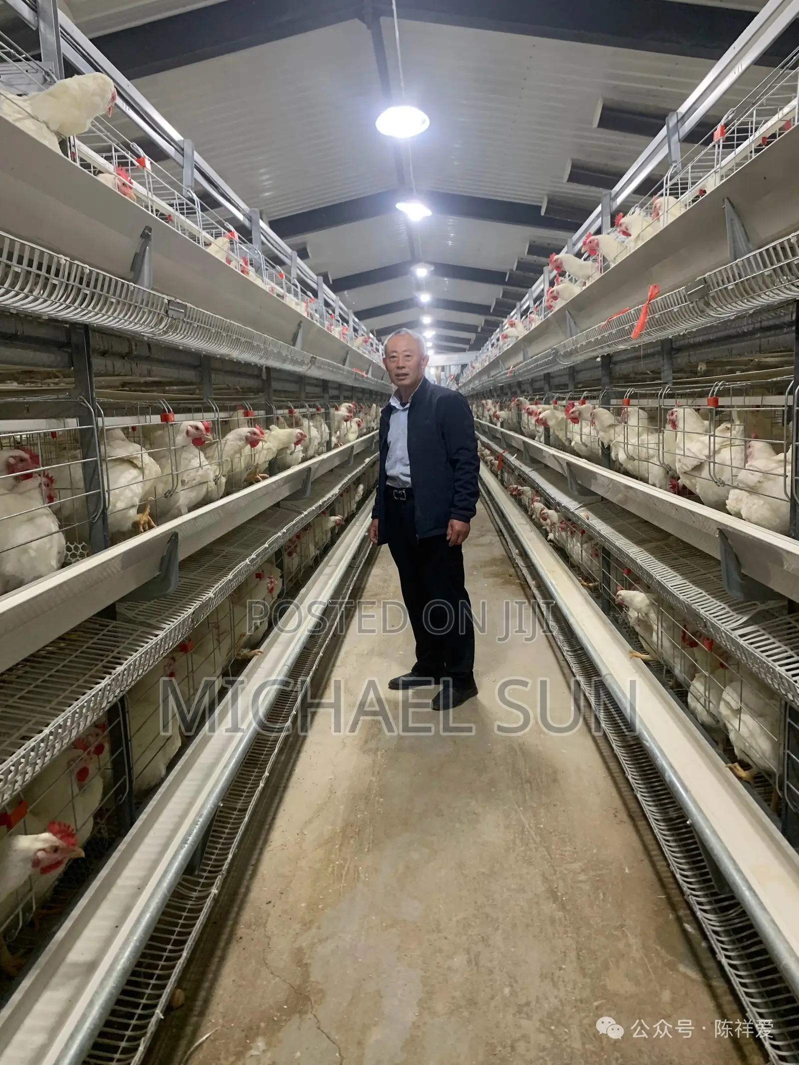Poultry Farming Equipments Chicken Cages Battery Cage Poultry Cage
