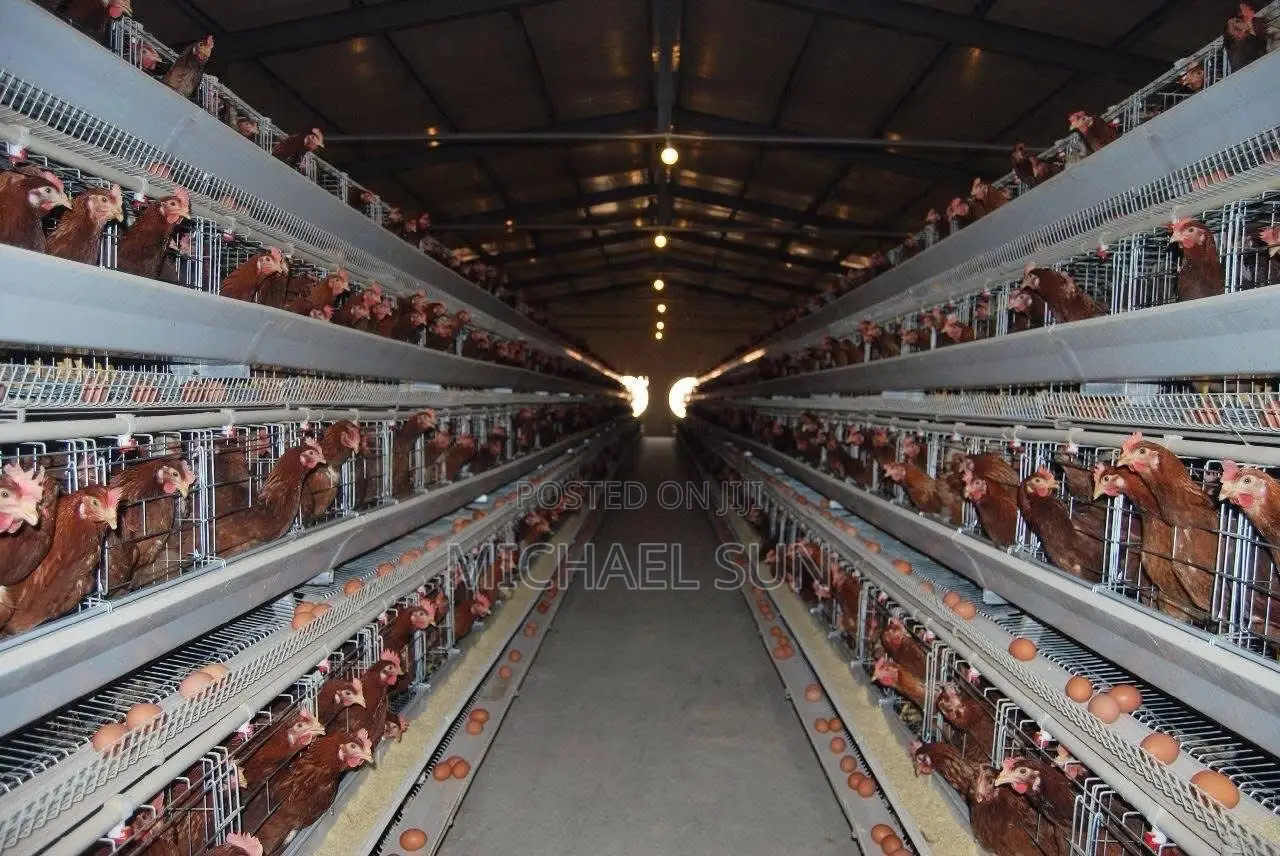 Battery Cage Poultry Cage Chicken Farming Cages