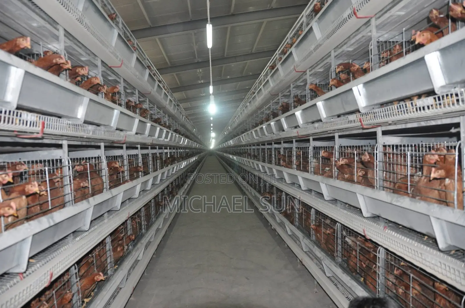 Battery Cage Poultry Cage Chicken Farming Cages