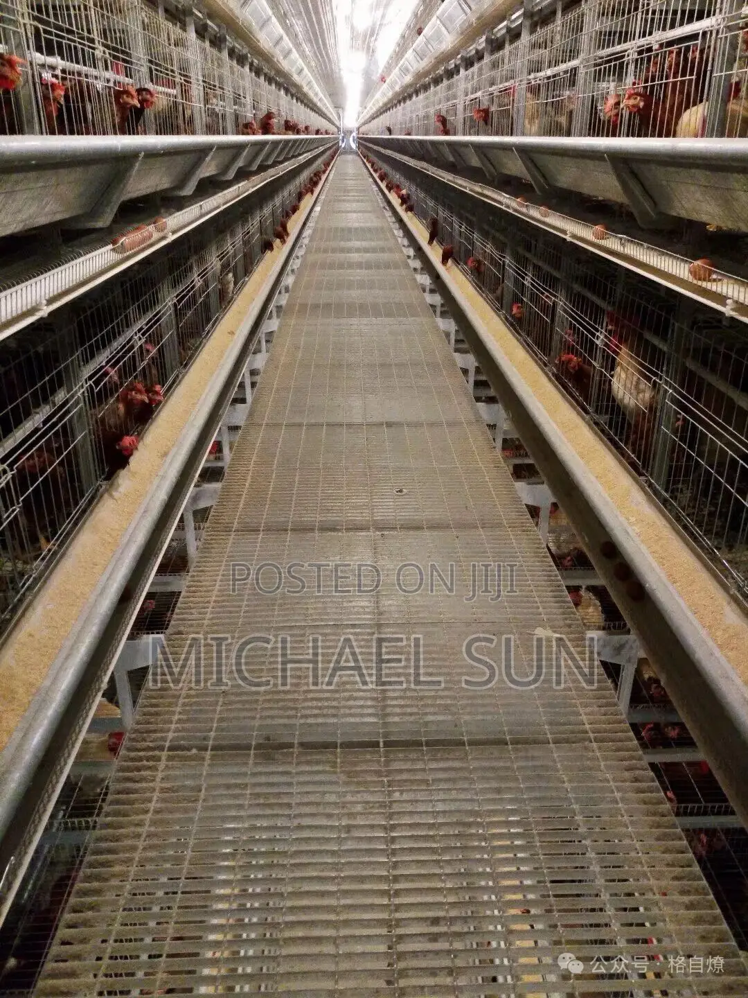Farming Cage Chicken Raising Cage Poultry Farming Equipment