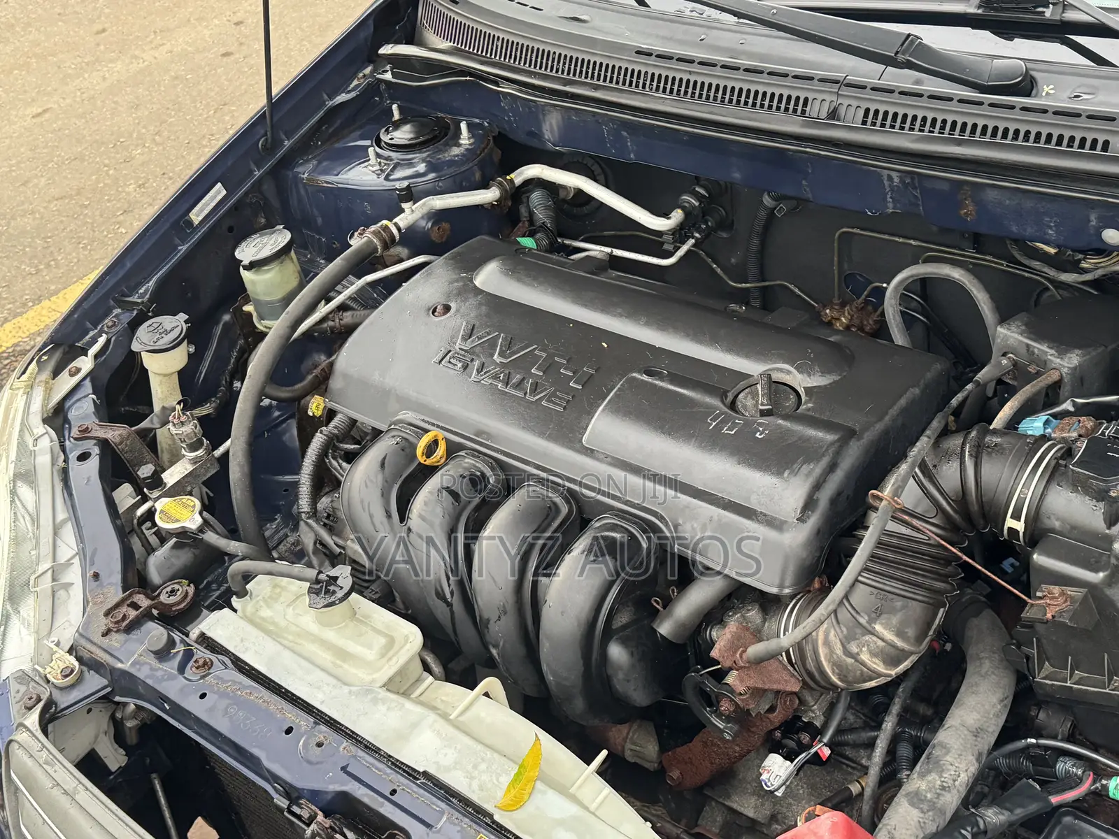 Toyota Corolla LE 2004 Blue