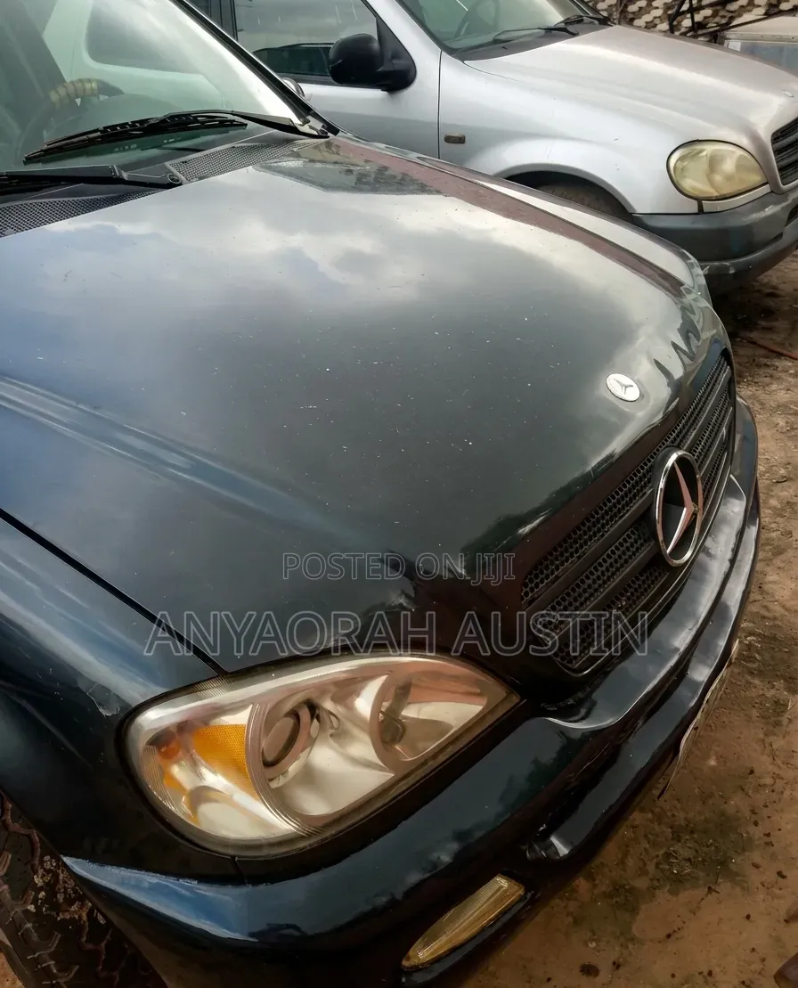 Mercedes-Benz M Class 2002 Blue