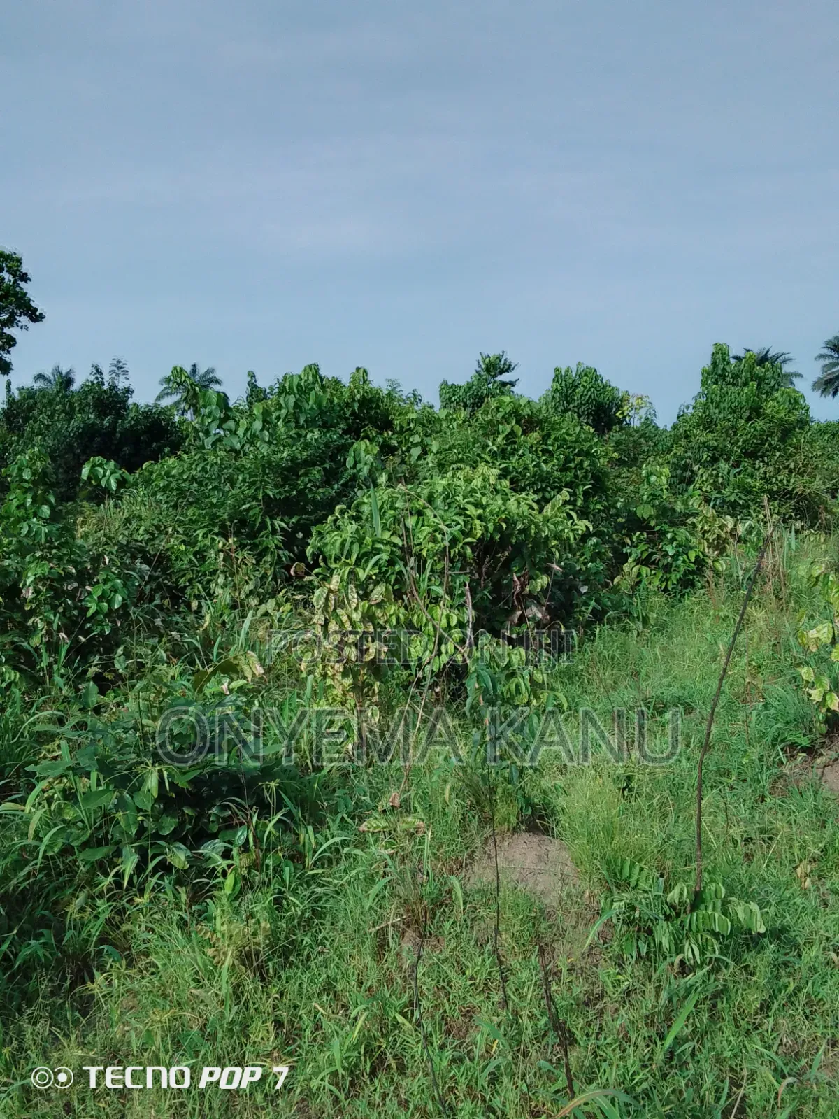 4 Plots Fertile Land for Sale.