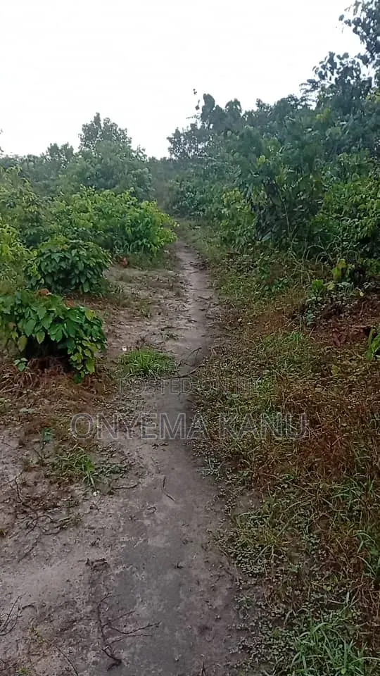 4 Plots Fertile Land for Sale.