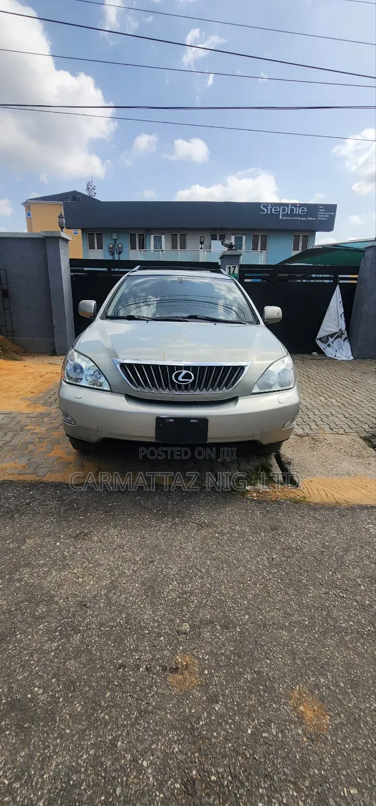 Lexus RX 350 AWD 2009 Gray