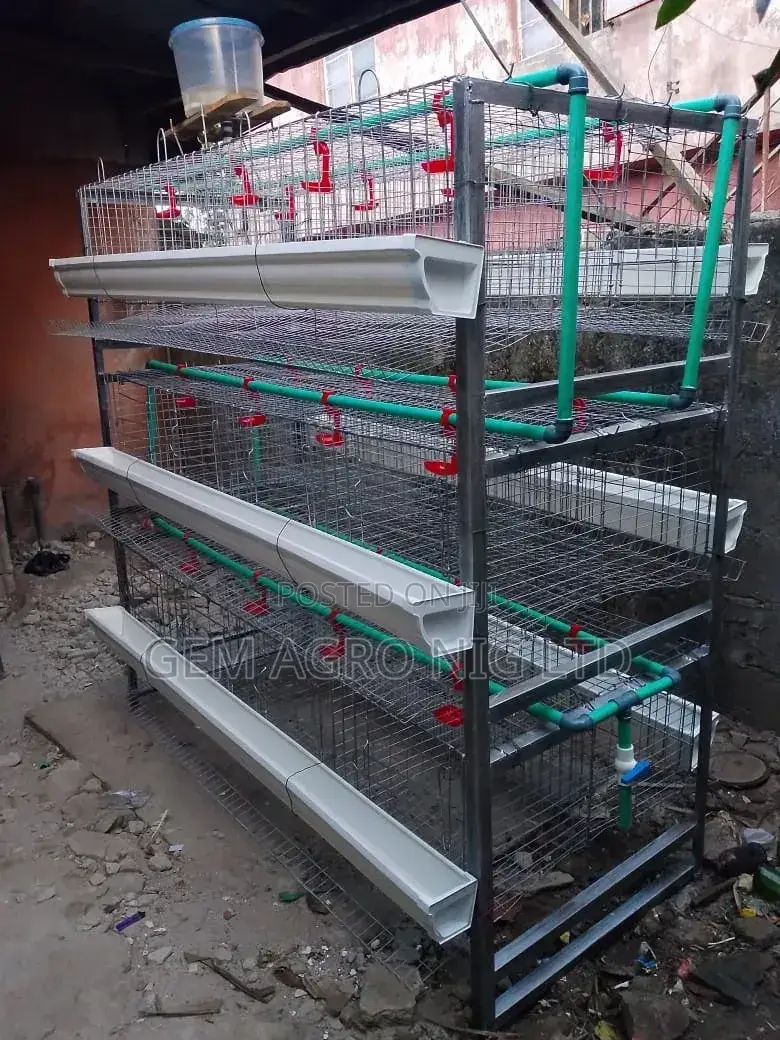 'H' Type Layers Battery Cage