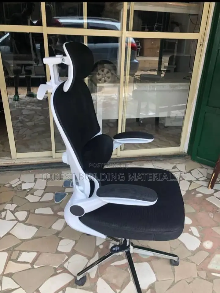 Modern Ergonomic Mesh Office Chair With Lumbar Support