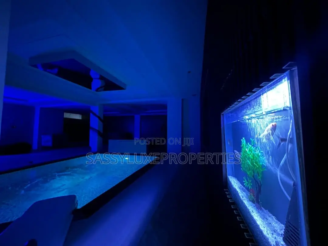 Exquisite Premium Standard Studio Apartment