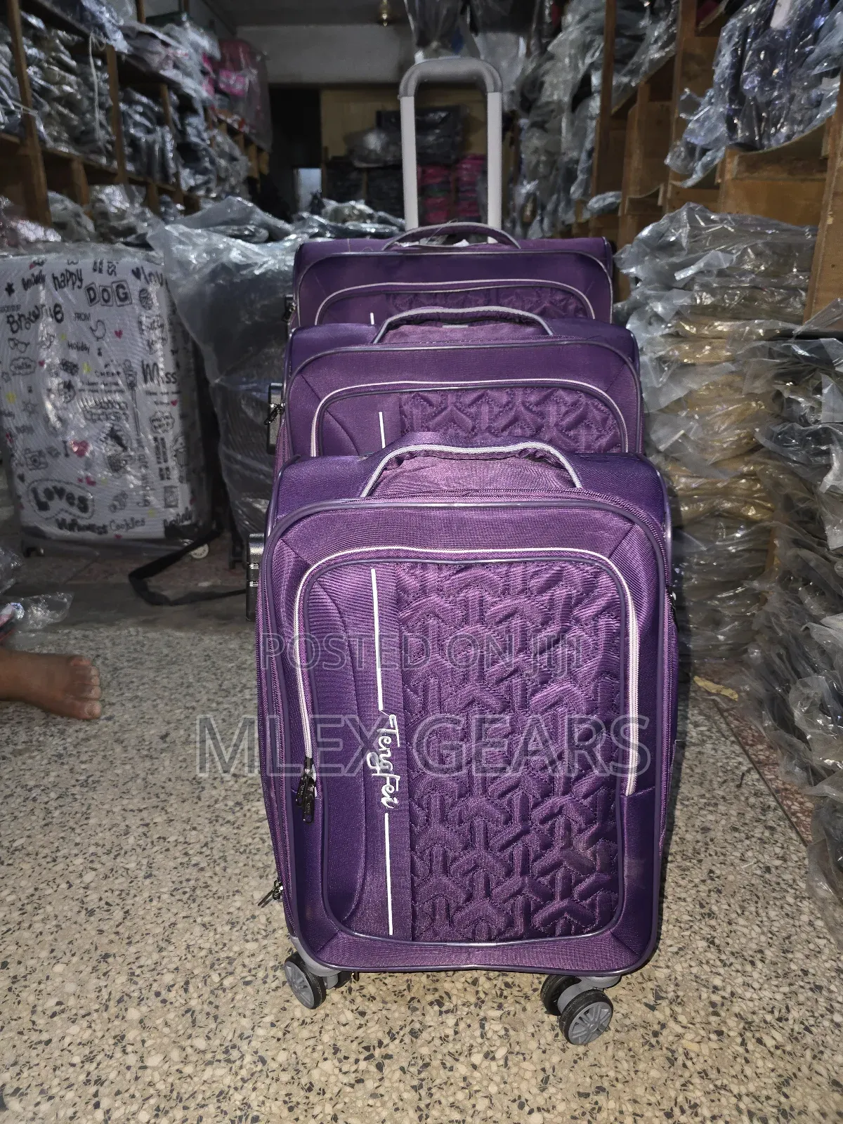 Set of 3 Traveling Paded Box