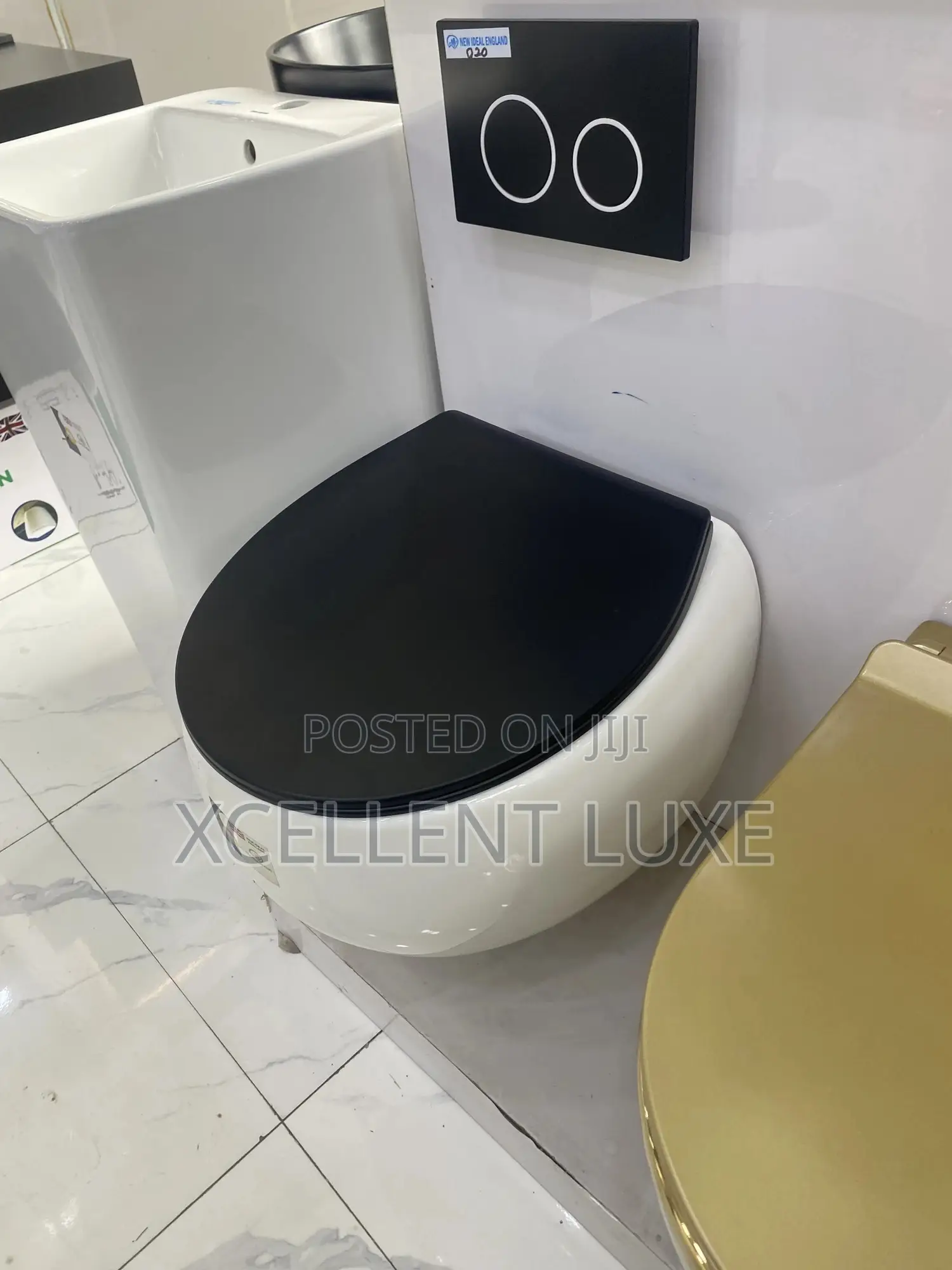 Wall Hung Wc With Concealed Tank (British Standard)