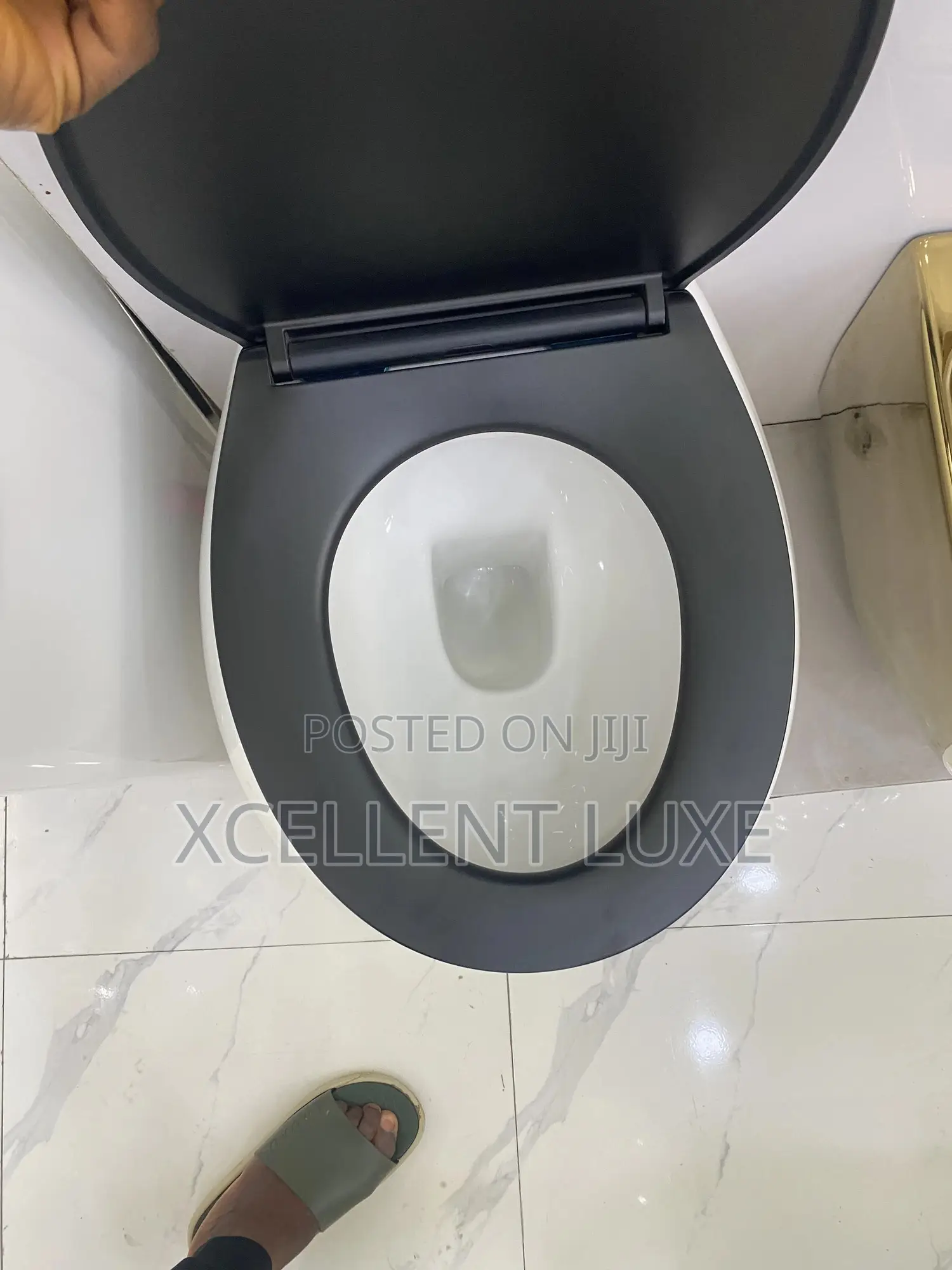 Wall Hung Wc With Concealed Tank (British Standard)