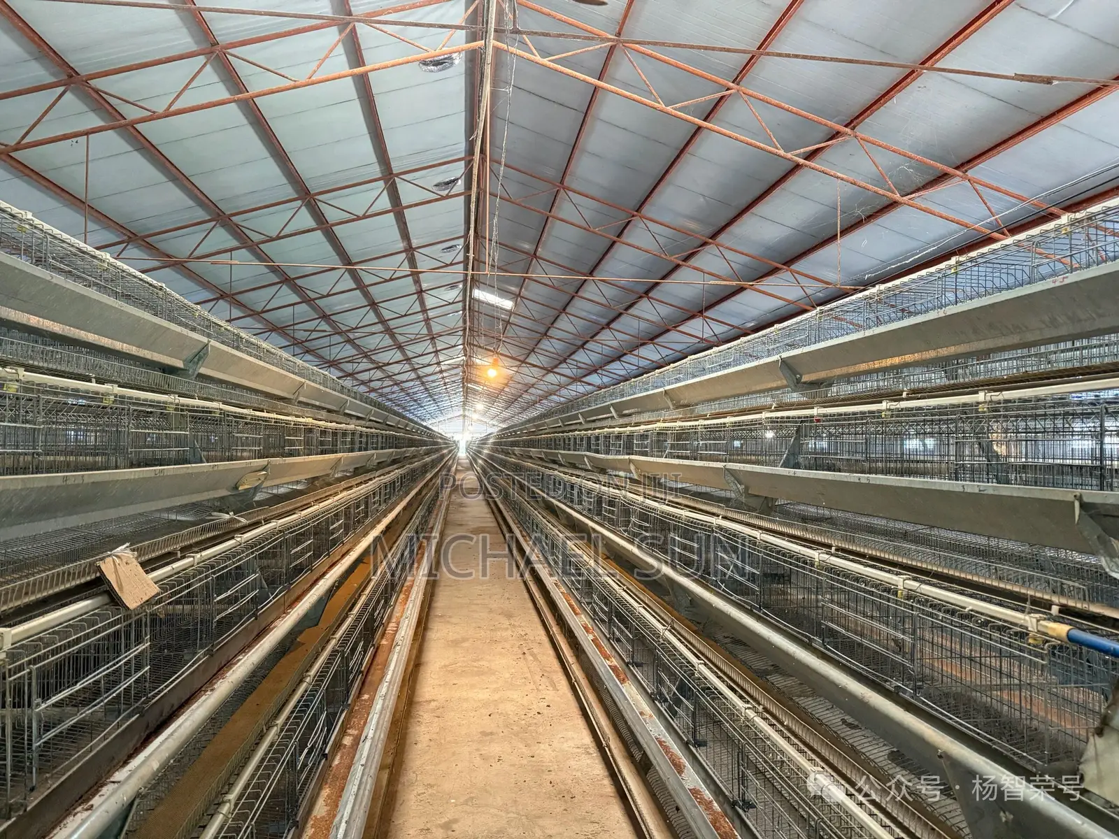 Imported Cages Hot Dipped Galvanized Poultry Cages