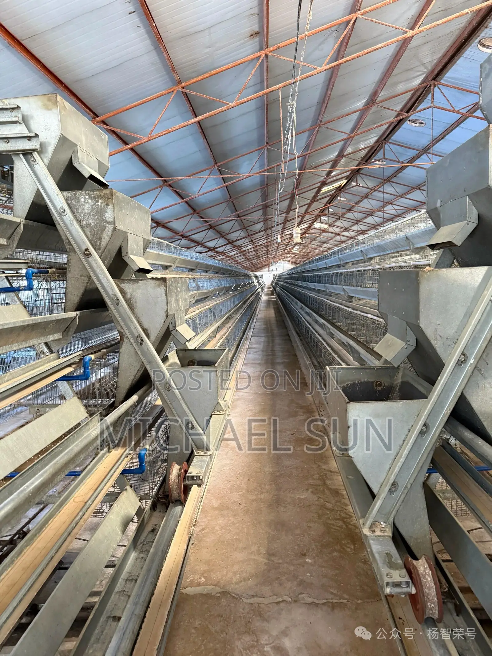 Imported Cages Hot Dipped Galvanized Poultry Cages