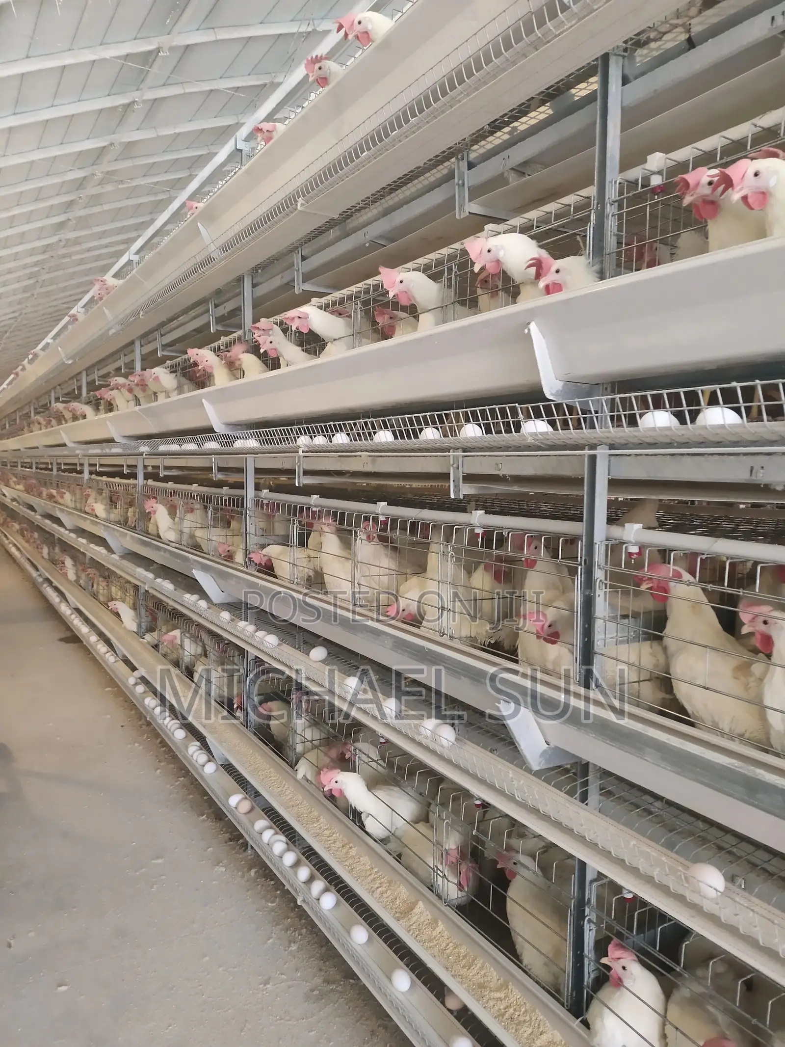 Imported Cages Hot Dipped Galvanized Poultry Cages