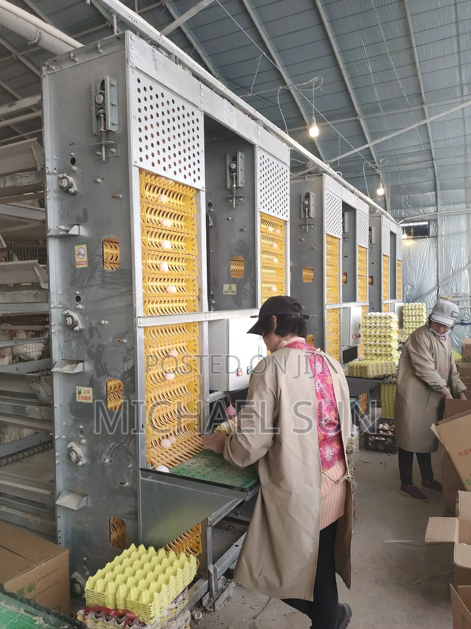Imported Cages Hot Dipped Galvanized Poultry Cages