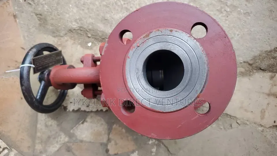 Dn 65 Globe Valve