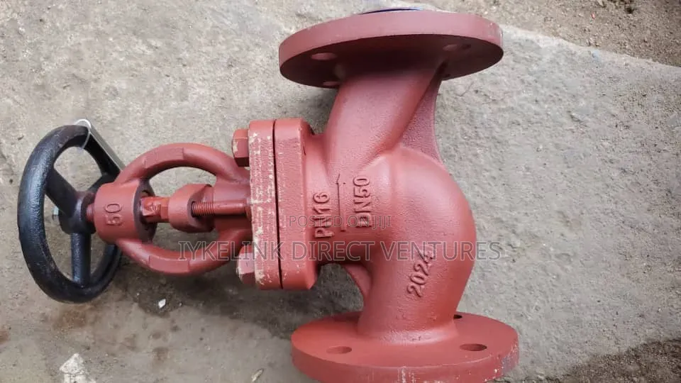 Dn 65 Globe Valve