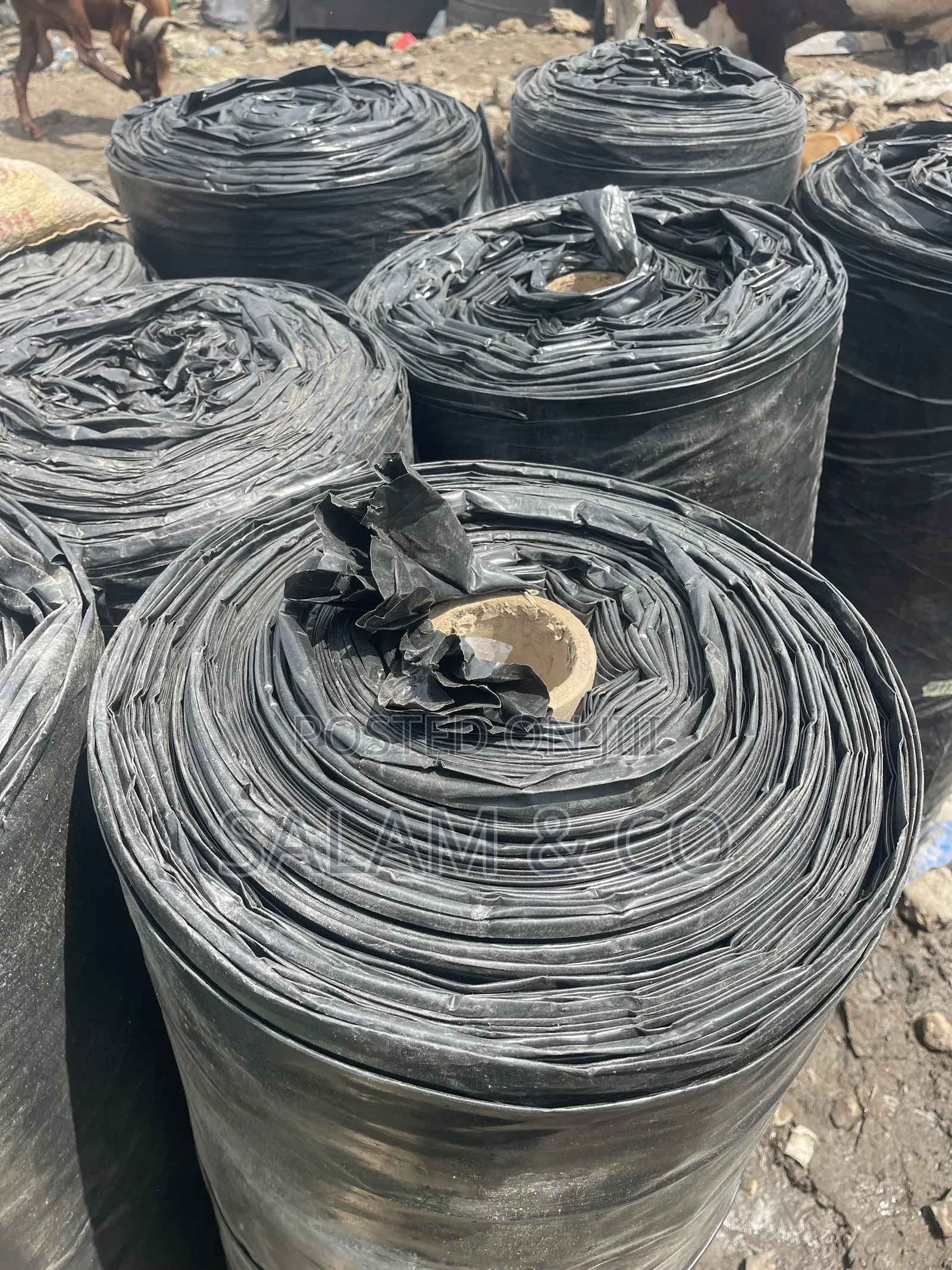 2m Width Black Polythene Nylon Roll DPM Damp Proof Membrane