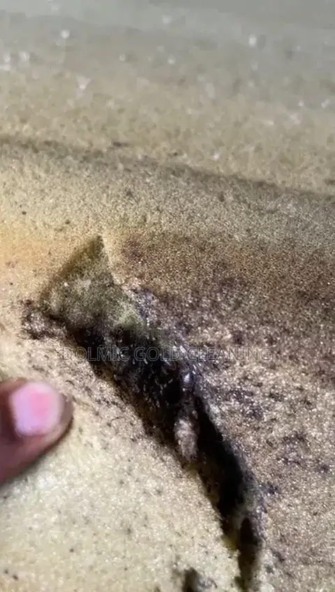 Get Rid of Bedbug