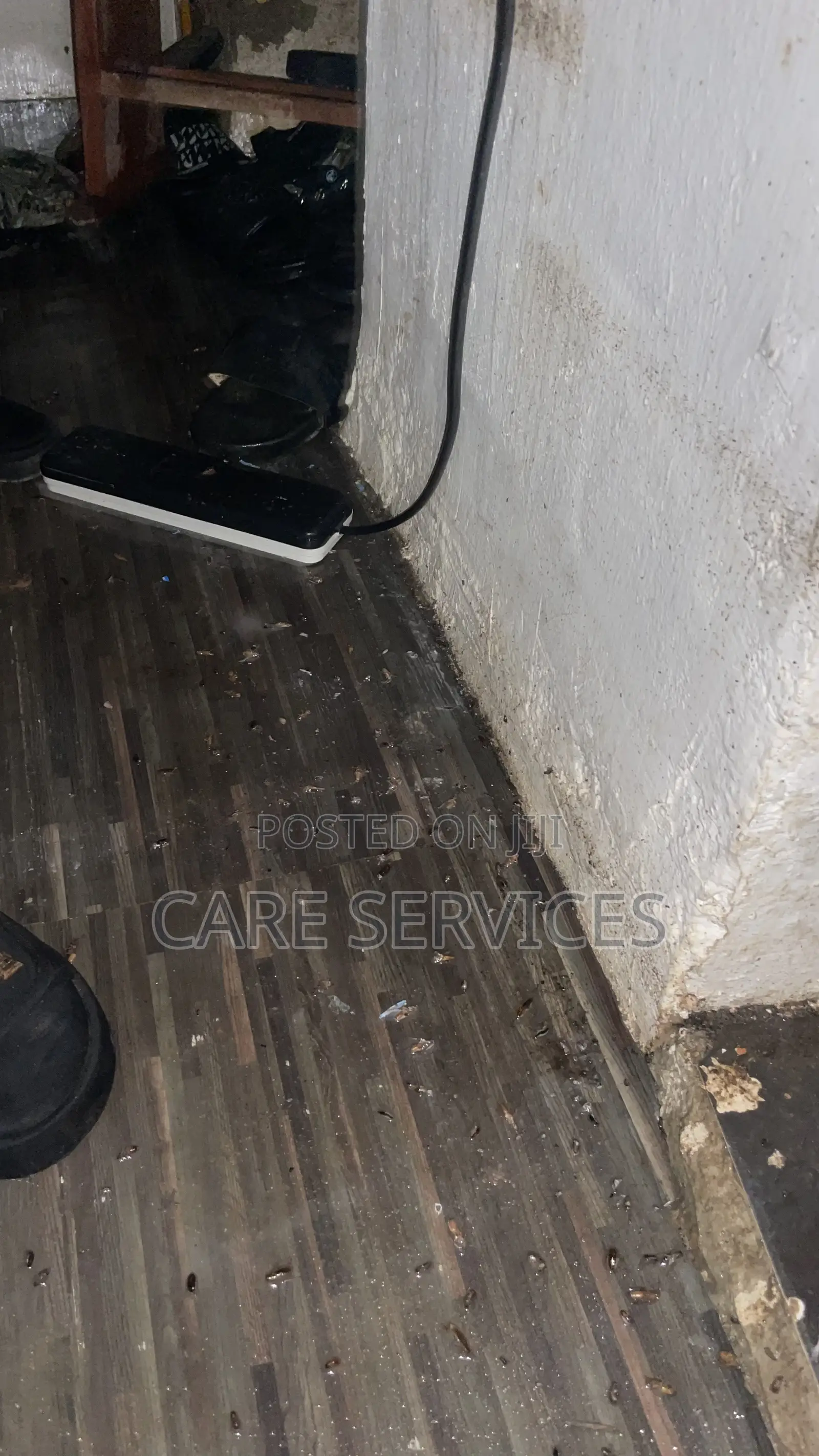 Cockroaches /Bedbugs Control Services