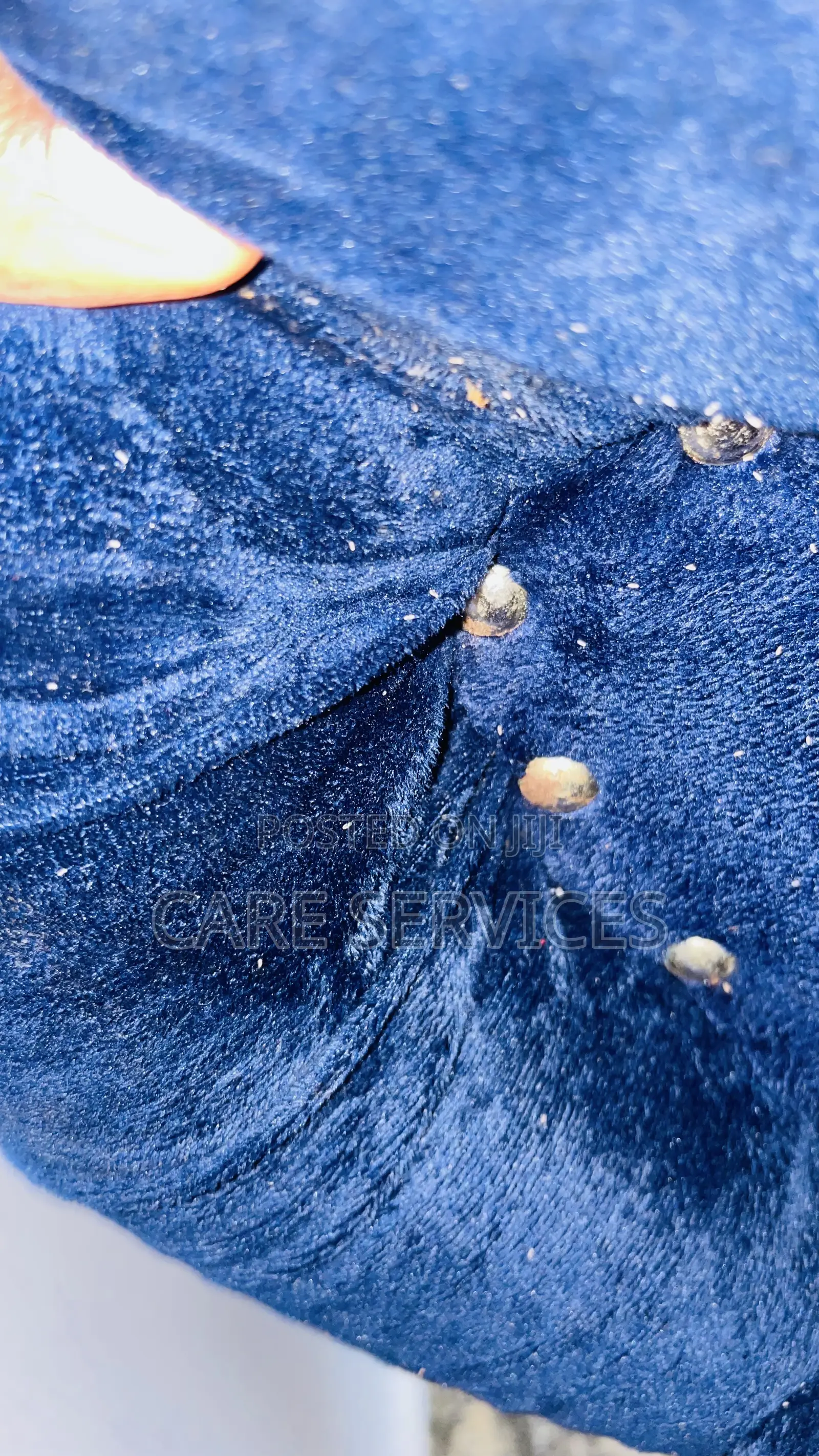 Cockroaches /Bedbugs Control Services