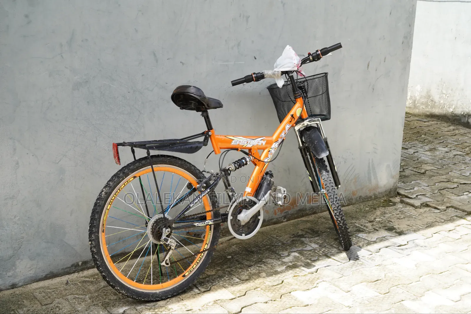 Adult Bicycle for Sale