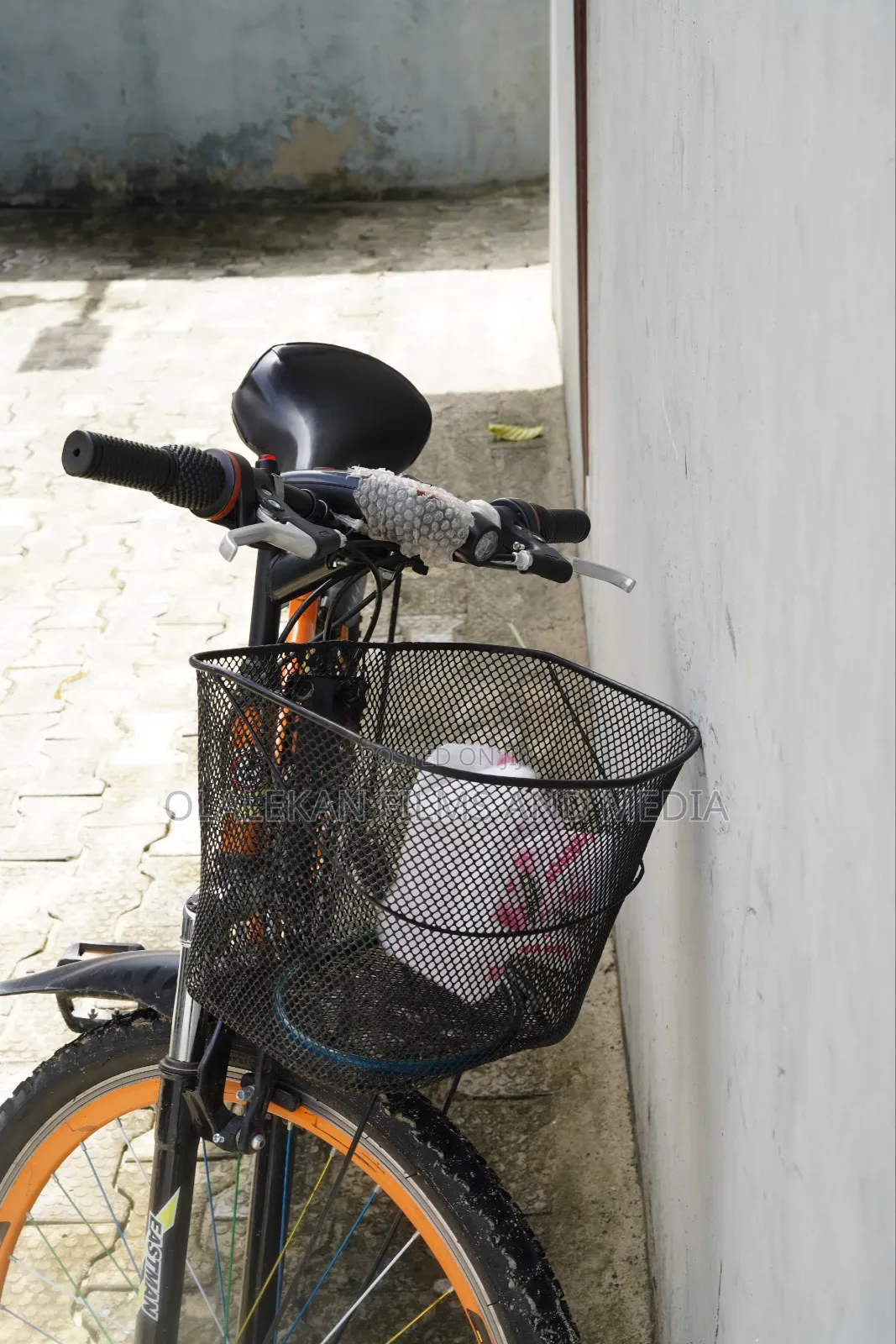Adult Bicycle for Sale