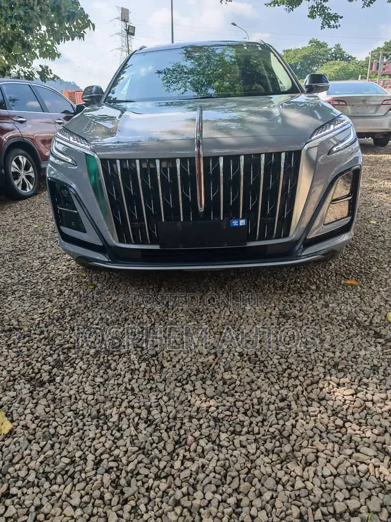 New Hongqi E-HS9 2026 Gray