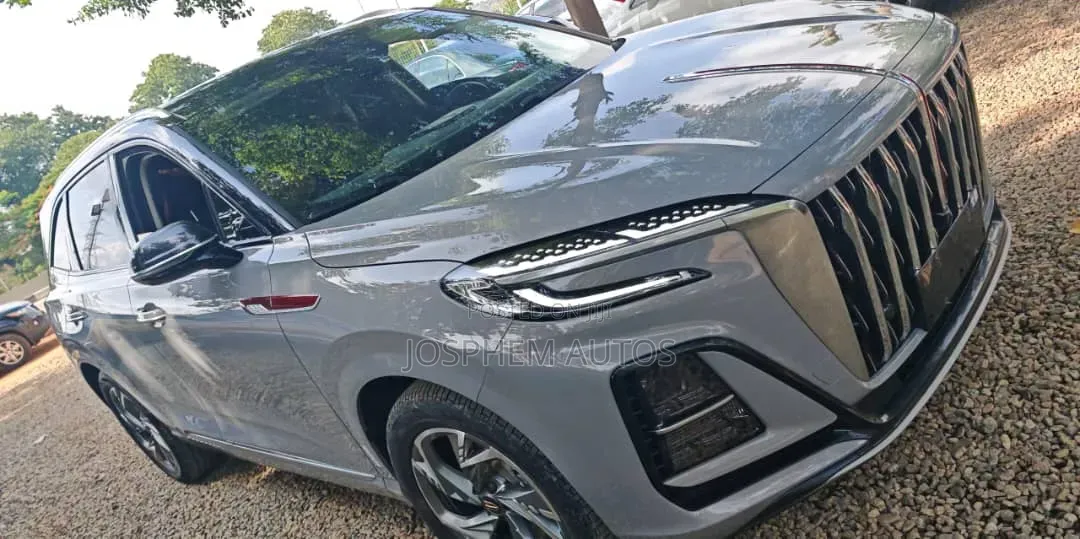 New Hongqi E-HS9 2026 Gray