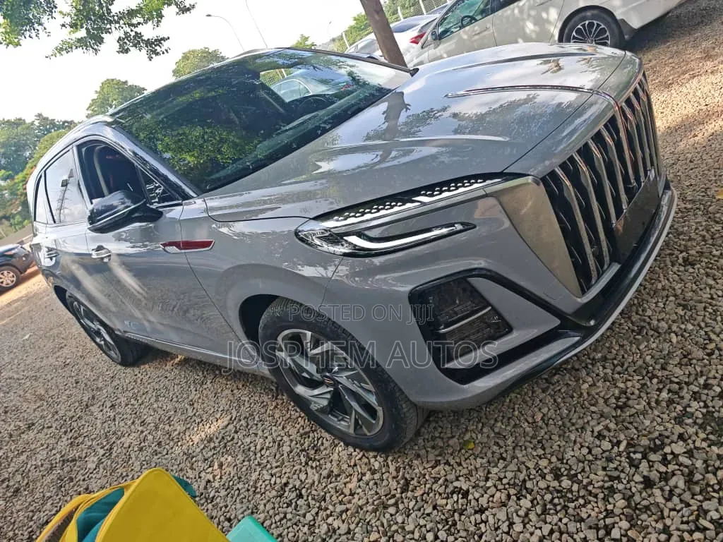 New Hongqi E-HS9 2026 Gray