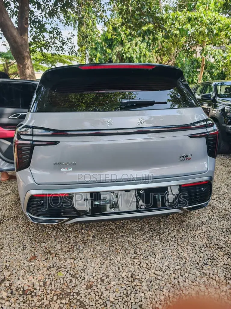 New Hongqi E-HS9 2026 Gray