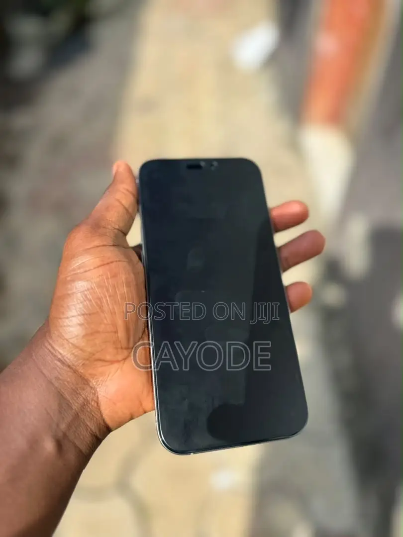 Apple iPhone 16 Pro Max 256 GB Silver