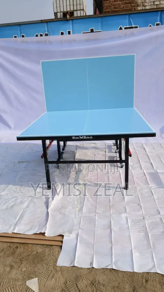 Outdoor Butterfly Table Tennis Board With Double Accessories