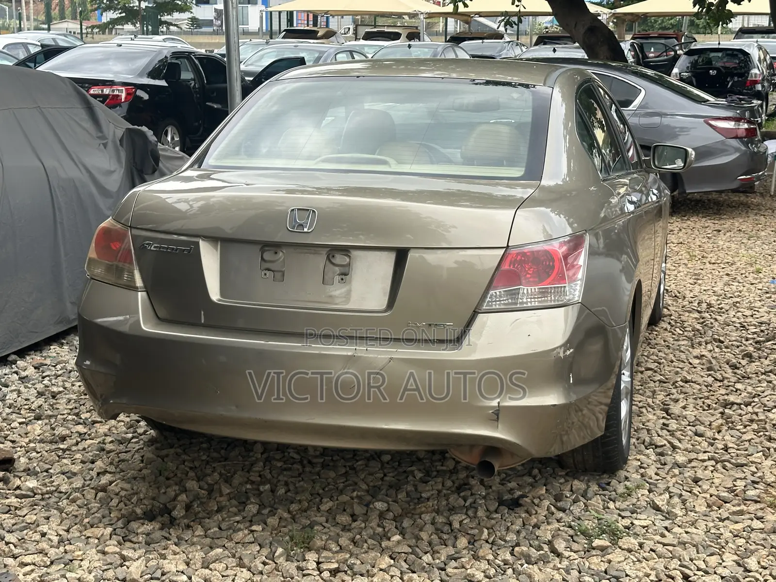 Honda Accord 2008 Gold