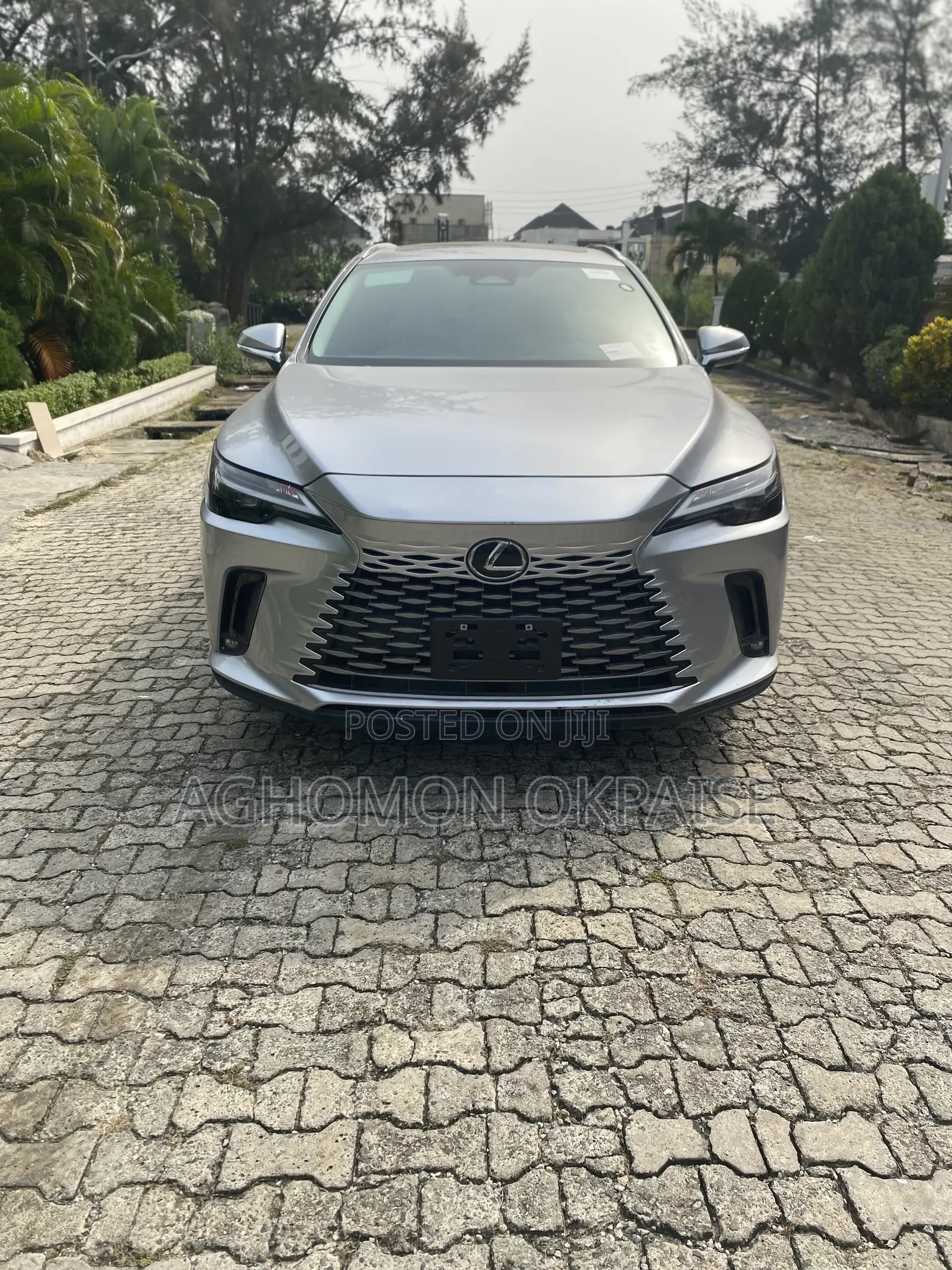 Lexus RX 350 2023 Gray