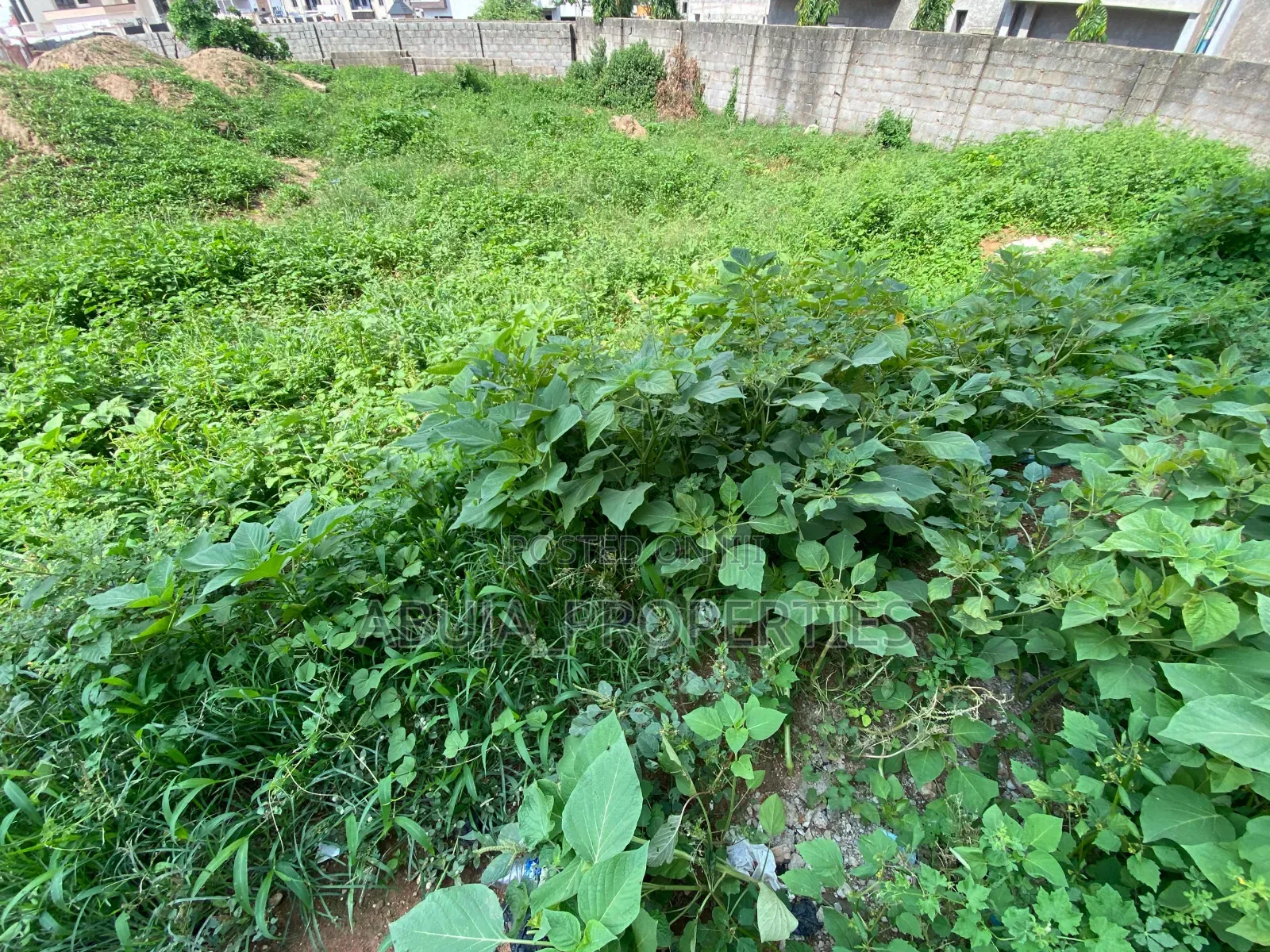 Corner-Piece Residential Land for Sale