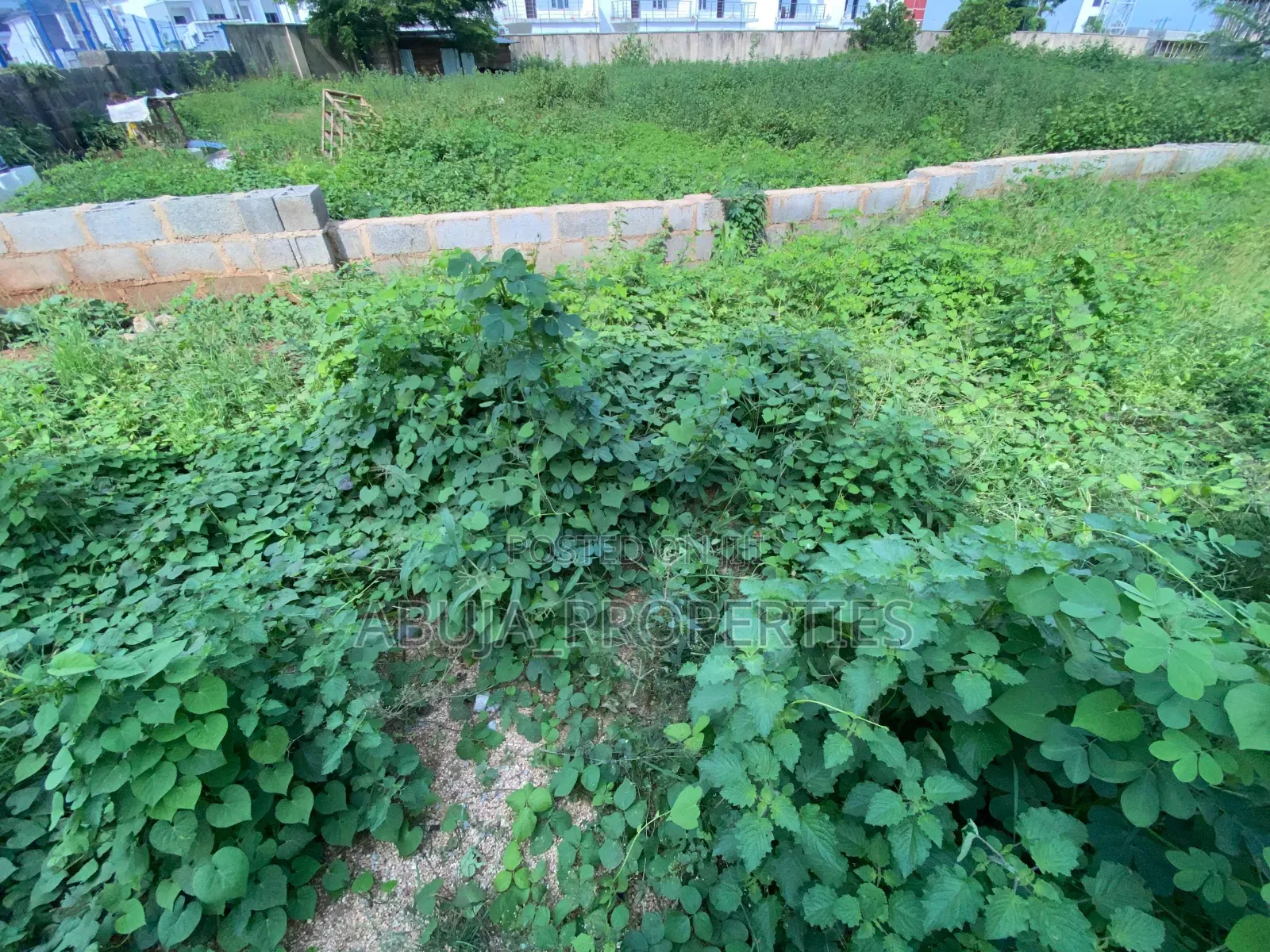 1500sqm Residential Land for Sale