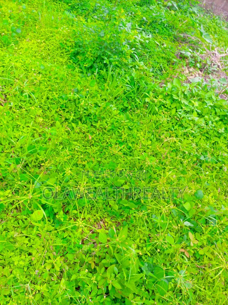 10 Hectares Industrial Land at Idu