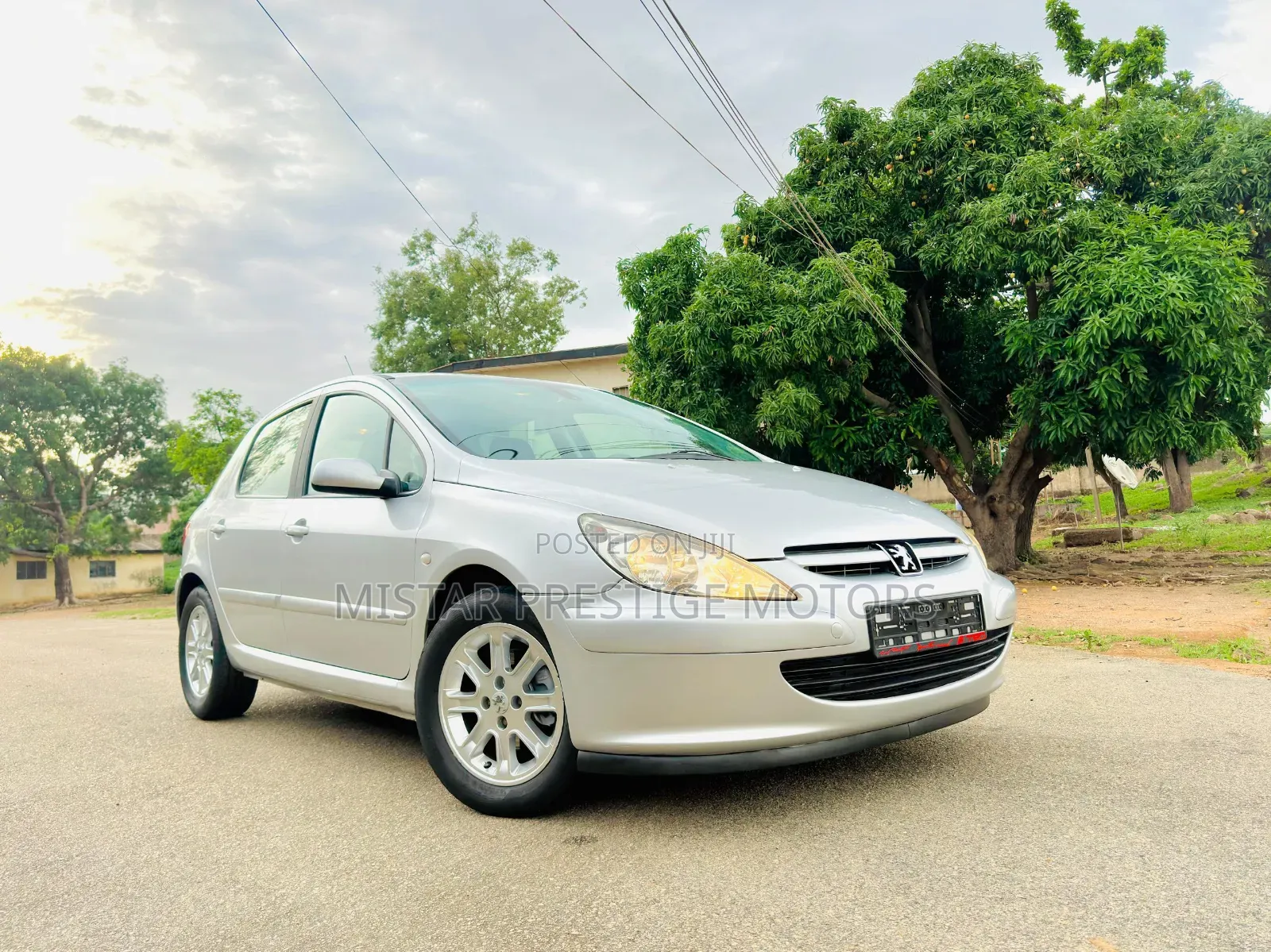 Peugeot 307 2007 Silver