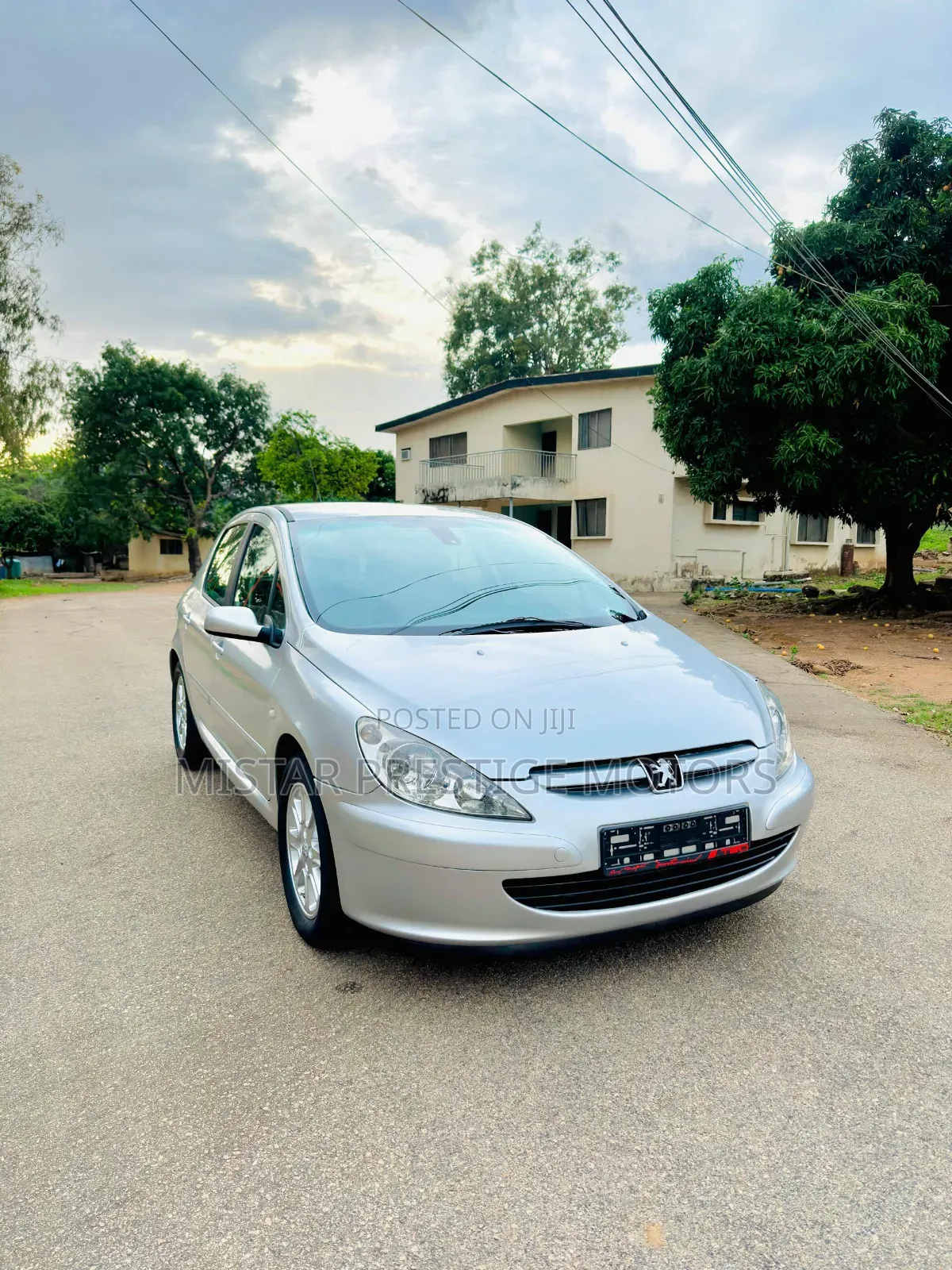 Peugeot 307 2007 Silver