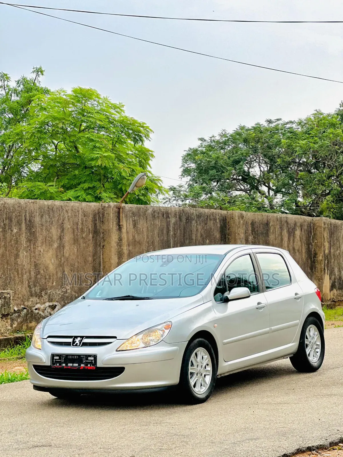 Peugeot 307 2007 Silver
