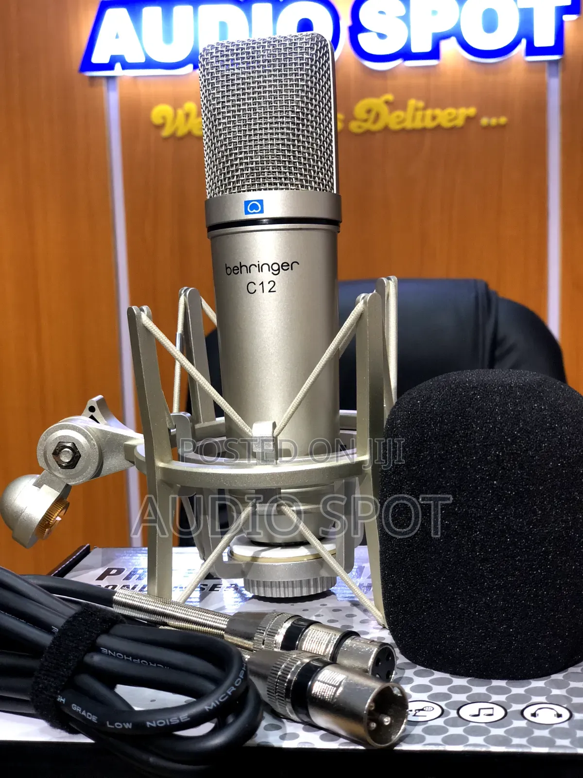 Behringer C-12 Professional Condenser Studio Microphone