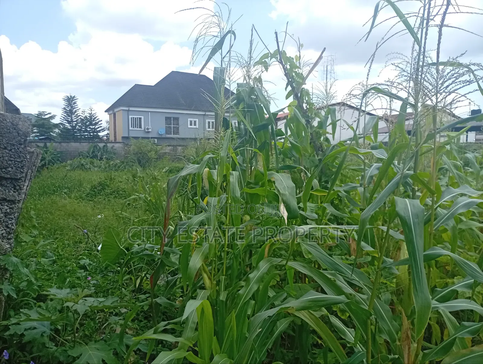 Two and Half Plots of Land for Sale at Gra Phase 2 Ph