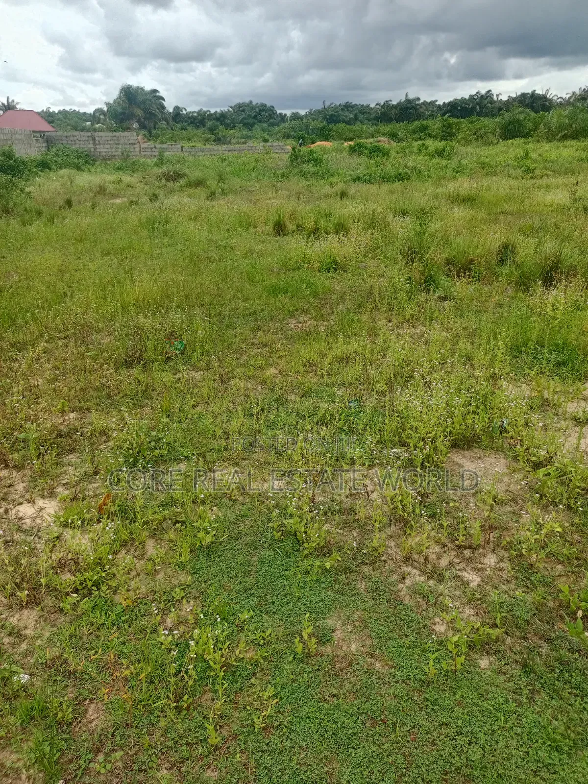 Umuagwo Along Ph Owerri Rd, Imo State