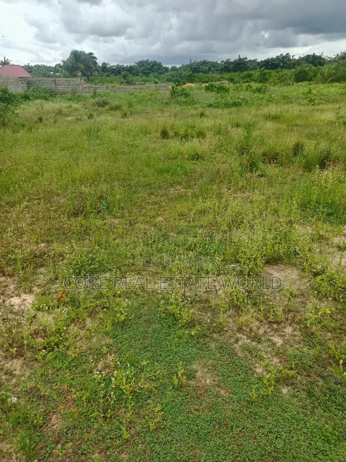 With Instant Allocation, Umuagwo Along Ph Owerri Rd, Imo State