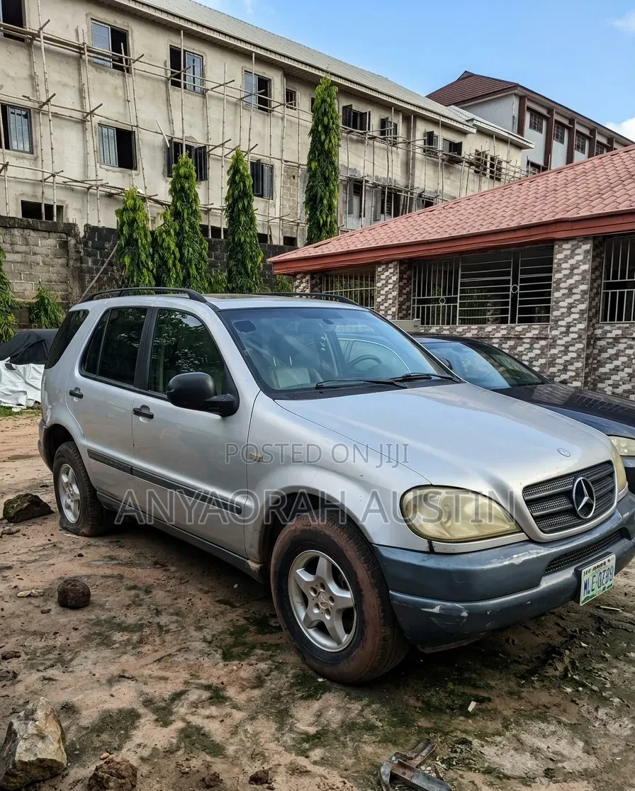 Mercedes-Benz M Class 2002 Silver