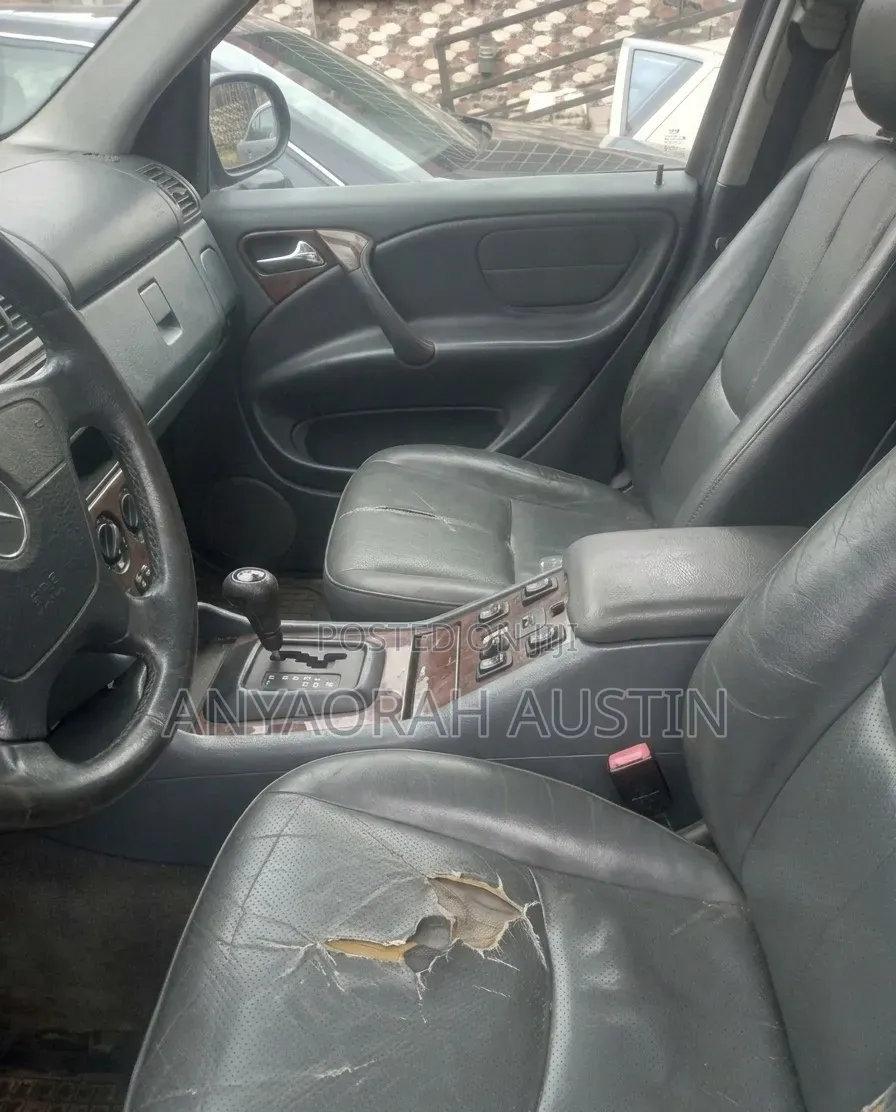 Mercedes-Benz M Class 2002 Silver